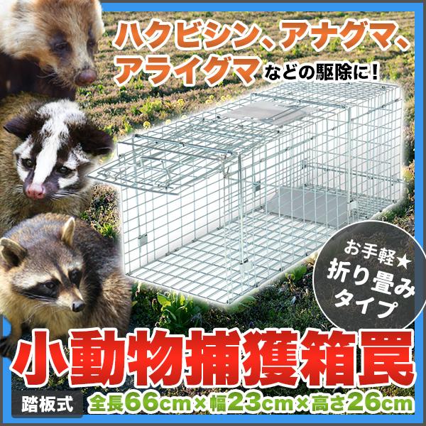 ハクビシン アナグマ アライグマ駆除 対策に効果あり お手軽 折り畳みタイプ ミディアムサイズ 全長79cm 幅28cm 高さ33cm 小動物捕獲用