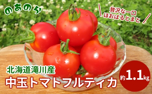 贅沢な一口ほおばるとまと( 北海道 滝川市 産中玉トマトフルティカ)約1.1kg トマト 野菜 やさい フルティカ 中玉トマト