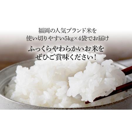 ふるさと納税 新米 令和5年産　福岡県産ブランド米「夢つくし」白米　計20kg 福岡県田川市