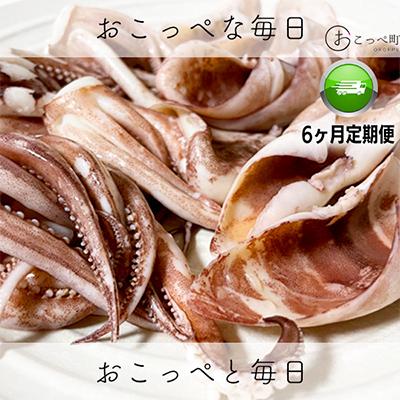 ふるさと納税 興部町 ワケあって!イカゲソとイカミミ全6回