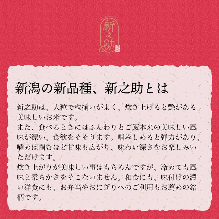 無洗米 新潟県産 新之助 白米 精米 5kg 令和5年産 新米 しんのすけ 5キロ 農家直送 お米