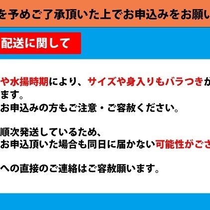 紅ズワイガニ約600g