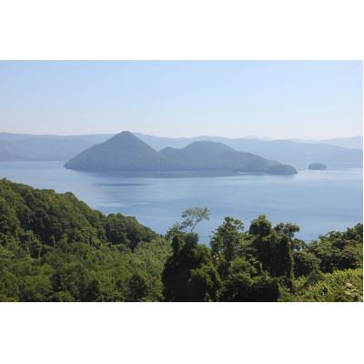 ふるさと納税 洞爺湖町 北海道洞爺湖町産・高級菜豆の白花豆1kg