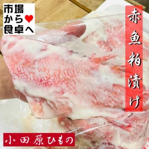 赤魚粕漬け 大サイズ 8枚入り 小田原ひもの  粕漬けの香りが食欲をそそります