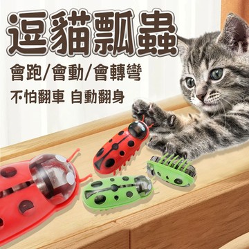 台灣出貨 寵物玩具 電動跳跳瓢蟲 逗貓納米蟲 貓咪玩具 狗狗玩具 逗貓玩具 小狗玩具 幼貓玩具 自動逗貓 電動逗貓