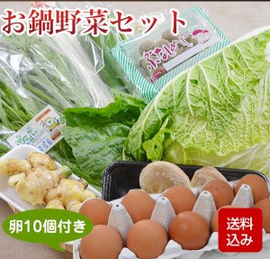 お鍋野菜セット 九州野菜 卵10個付  お取り寄せ 野菜詰め合わせ