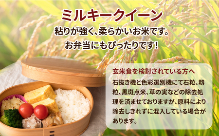 令和5年産 茨城県産 ミルキークイーン 玄米2kg｜このお米は石抜き機、色彩選別機の処理済みです ※離島への配送不可 ※2023年9月下旬頃より順次発送予定