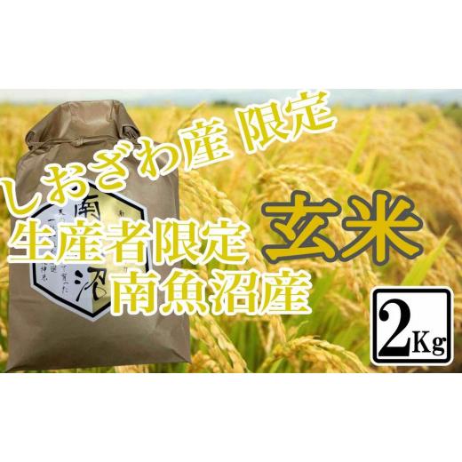 ふるさと納税 新潟県 南魚沼市 玄米 しおざわ産限定 生産者限定 南魚沼産コシヒカリ