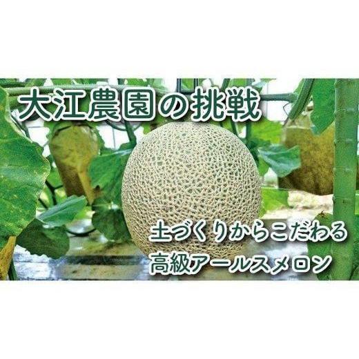 ふるさと納税 京都府 京丹後市 京都丹後産 セリーヌメロン 2玉入り（2024年7月〜発送）