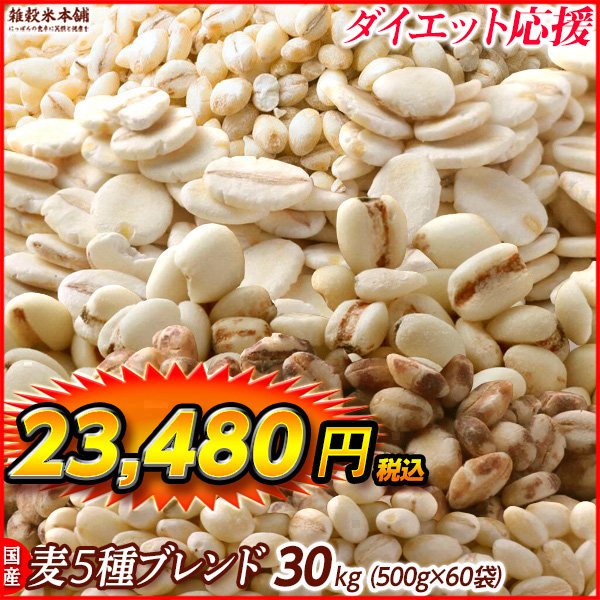 雑穀 雑穀米 国産 麦５種ブレンド 27kg(450g×60袋) [丸麦 押麦 はだか麦 もち麦 はと麦] 無添加 無着色 業務用サイズ 送料無料 雑穀米本舗