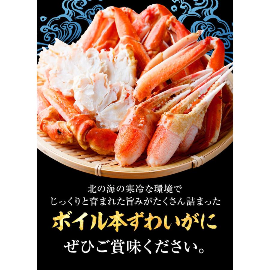 ポイントアップ 年末予約受付中 カニ かに 蟹 ズワイガニ ボイル ポーション ずわいがに 1.3kg 3-4人前 送料無料 お歳暮 お中元