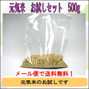 （令和3年度産）元気米お試しセット500g 玄米・5分つき米・白米