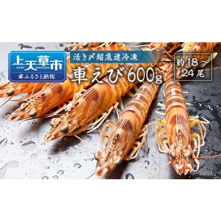 ふるさと納税 活き〆超急速冷凍車えび600g(約18〜24尾) 熊本県上天草市