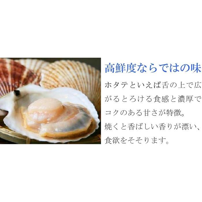 ホタテ 殻付き ほたて貝 片貝 計30枚 北海道産 BBQ 網焼き 冷凍 加熱用 お取り寄せ 帆立