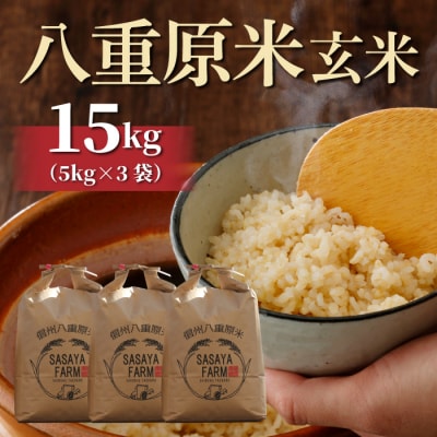 八重原米 玄米 15kg (5kg×3袋)