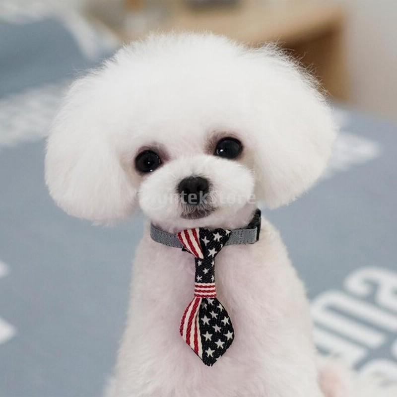 ペット 犬 猫 調節可能 ネクタイ 首輪 全４様式２サイズ 様式１ S 通販 Lineポイント最大0 5 Get Lineショッピング
