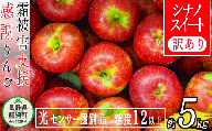 りんご 訳あり シナノスイート 5kg 長野県 霜被害支援への御礼企画 「感謝りんご」 光センサー選果  ※沖縄および離島への配送不可 ※2022年10月上旬頃から順次発送予定 ながの農業協同組合 長野県飯綱町 [1218]