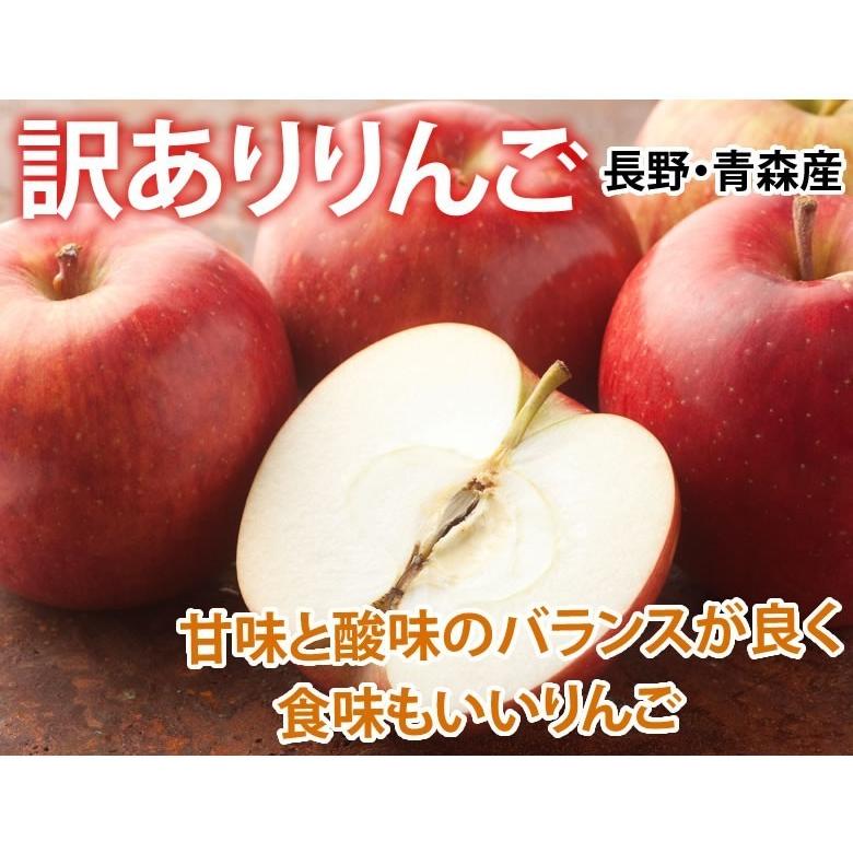 りんご 訳あり 約5kg（4.5〜5kg） リンゴ 送料無料 長野・青森県産 お取り寄せ サンふじ つがる ジョナゴールド ふじ 林檎 フルーツ