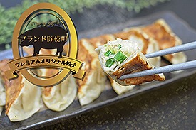 手打ち餃子　天のびろく『プレミアムオリジナル餃子』　☆北海道送料無料☆