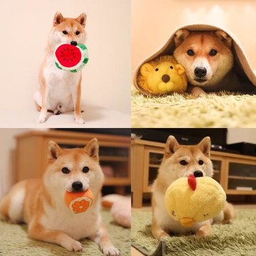 小B崽特惠原單p家性價比MAX網紅寵物狗狗搖鈴發聲獅子狗毛絨玩具