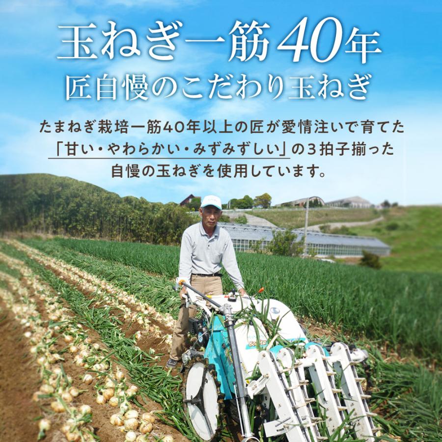 フライドオニオン 淡路島 100g×30袋 今井ファ−ム たまねぎ タマネギ 玉葱 玉ねぎ ＃フライドオニオン100ｇ×30袋＃