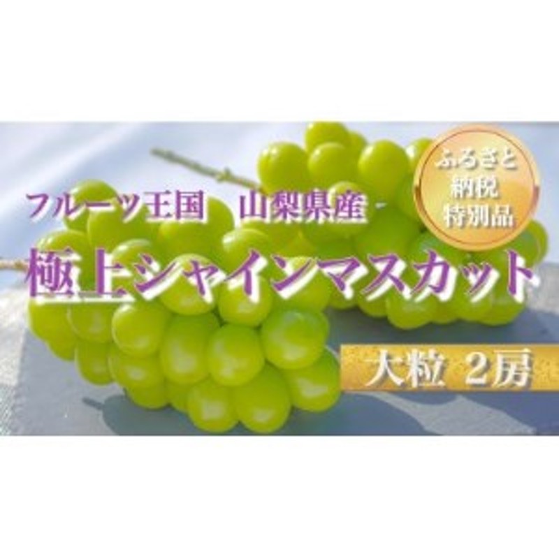 2024年度先行受付】山梨県山梨市産 シャインマスカット 2房 1.1kg以上