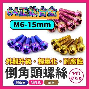 M6X15 正鈦螺絲 鈦螺絲 倒角頭 鈦合金螺絲 M6鈦螺絲 M6螺絲 64正鈦 改裝螺絲 正鈦合金螺絲 改裝鈦螺絲