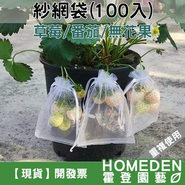 【隔日到貨】紗網袋 100入 草莓套袋 水果套袋 雪紗網 防蟲網袋 水果網袋 紗袋 百香果套袋【HOMEDEN霍登園藝】
