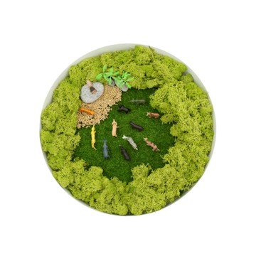 POKI 小小動物世界遊戲組 內含動物模型12個 樹木模型2個 苔癬20g 黏土 石頭2個  1組