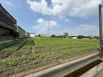 大寮磚子磘段千坪地形方正都內農地｜高雄市大寮區磚子磘段