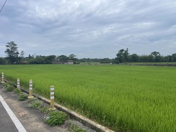 【向陽團隊】新屋三面臨路美田｜桃園市新屋區石安路