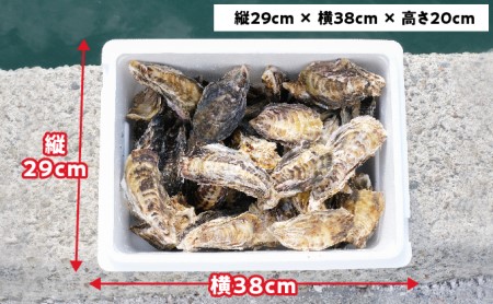 メディアでも話題の生食用カキ！赤穂・坂越湾で育った新鮮な身を厳選(坂越産カキ 生食用 殻付5kg)[ 牡蠣 冬牡蠣