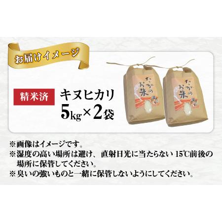 ふるさと納税 キヌヒカリ10kg（5kg × 2袋） おいしい多賀のお米 滋賀県多賀町