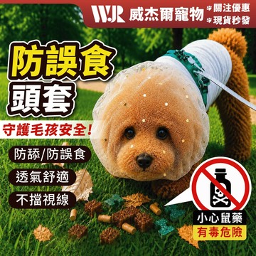 【威杰爾】防舔透氣網紗面罩 寵物頭套 防亂吃嘴套 寵物嘴套 寵物防護頭套 防誤食頭紗 防舔頭套 狗狗頭套【G156】