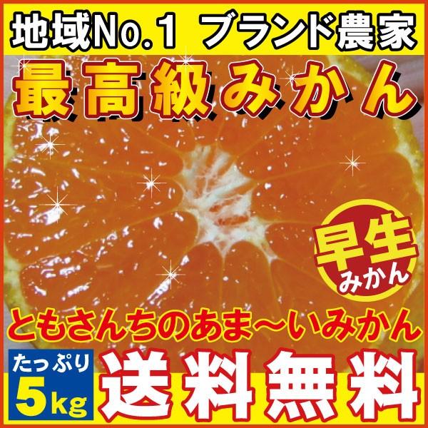 ともさんちのみかん秀品5kg◆11月下旬頃から収穫出来次第発送