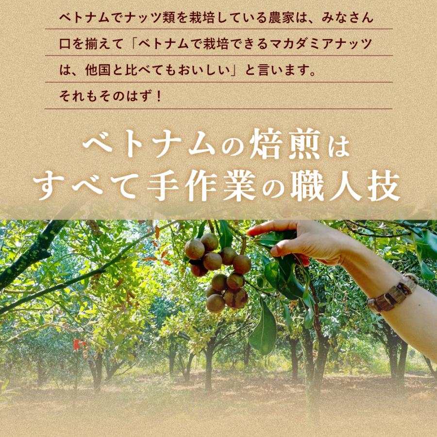 ナッツ 殻付きマカダミアナッツ 素焼き 300g 送料無料 無塩 無添加 チャック付き ローストナッツ