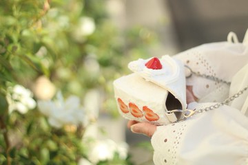 這是一款酥餅造型的單肩包。