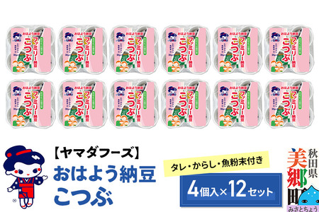 ヤマダフーズ おはよう納豆 ファミリー納豆 こつぶ 48個 タレ付き からし付き