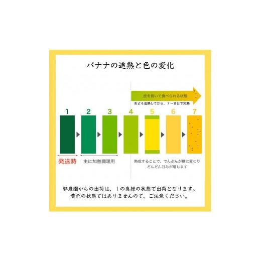 ふるさと納税 栃木県 真岡市 真岡市産 バナナ とちおとこ 真岡市 栃木県 送料無料