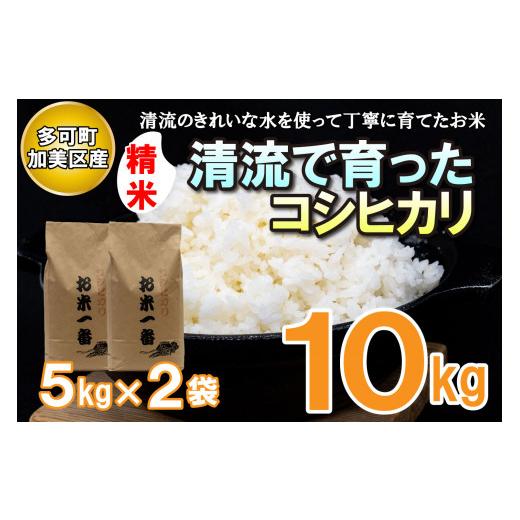 ふるさと納税 兵庫県 多可町 多可町加美区の清流で育ったコシヒカリ５kg×２袋[829]