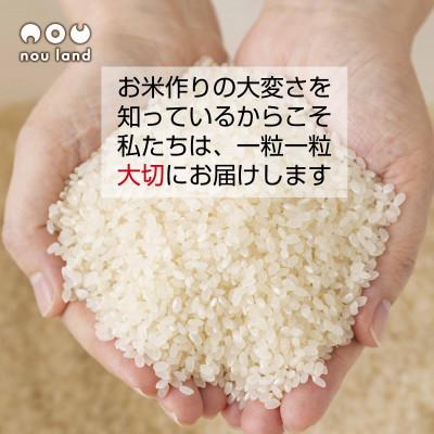 ふるさと納税 十日町市 農家直送 魚沼産 コシヒカリ 特別栽培米 2kg ×1袋 計2kg 新潟県 十日町市 のうランド