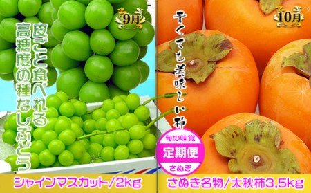 坂出産のフルーツとさぬきの特産品の定期便7回