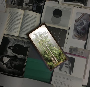 【臺灣杉/燈箱】撞到月亮的樹。收藏一片森林