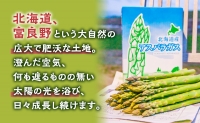 富良野 益田農園産 極太 グリーンアスパラガス ≪S～2L混合≫ 約500g アスパラ 北海道 富良野市 緑アスパラ 野菜 とれたて 朝採り 限定 数量限定 (益田農園)