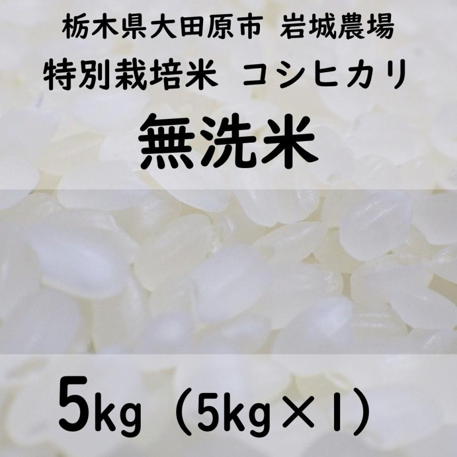 特別栽培米コシヒカリ 2023年産（5kg×1）