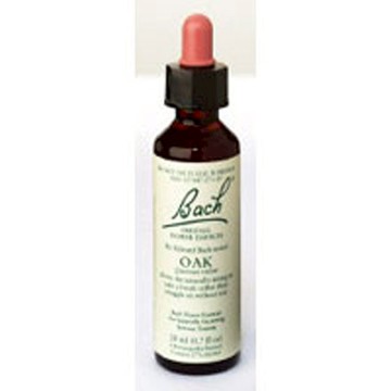 Flower Essence Oak 20 ML by Bach Flower Essences