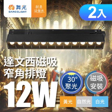 2入組 舞光 12W 達文西磁吸 30度窄角排燈(白光/自然光/黃光)