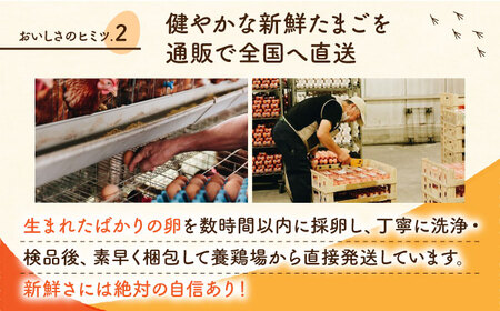 白たまご M玉 40個（37個＋3個割れ保証）タマゴ 玉子 熊本県たまご 卵 国産たまご 新鮮たまご しろたまご M玉たまご 熊本たまご 濃厚たまご [ZCA011]