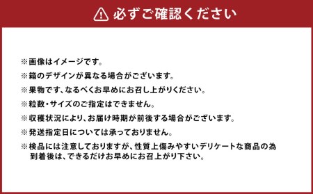 A161  あまおう 24～30粒 いちご