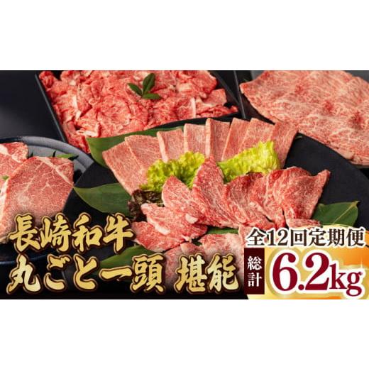 ふるさと納税 長崎県 波佐見町 長崎和牛丸ごと一頭 堪能！ 総計6.2kg以上 サーロイン モモ イチボ シャトーブリアン 焼肉 ステーキ 長崎和牛 …